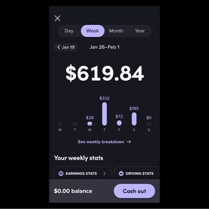 Weekly Earnings Tracker App Interface
